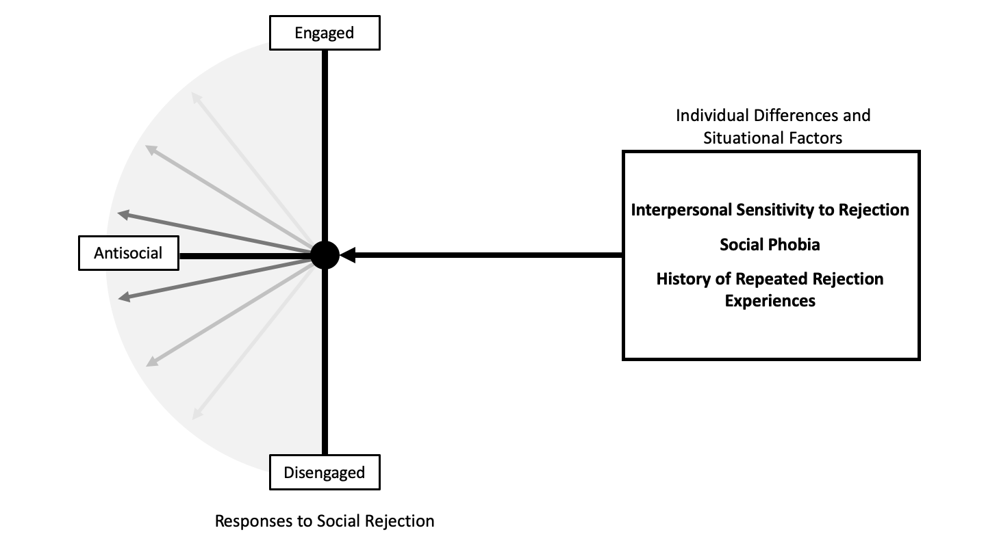 Representative individual differences and situational factors predicting engaged and disengaged antisocial responses. For illustrative purposes, only the antisocial hemisphere is depicted in this diagram. Higher interpersonal sensitivity to rejection (assessed via rejection sensitivity or low self-esteem) predicts engaged antisocial responses. Social phobia and history of repeated prior rejection experiences predict disengaged antisocial responses.
